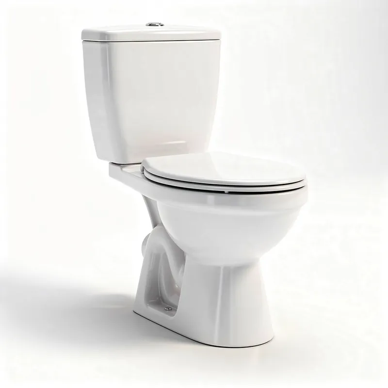 Remplacement de WC Paris4